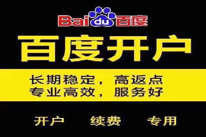 百度推广代理的精准营销策略及效果展示